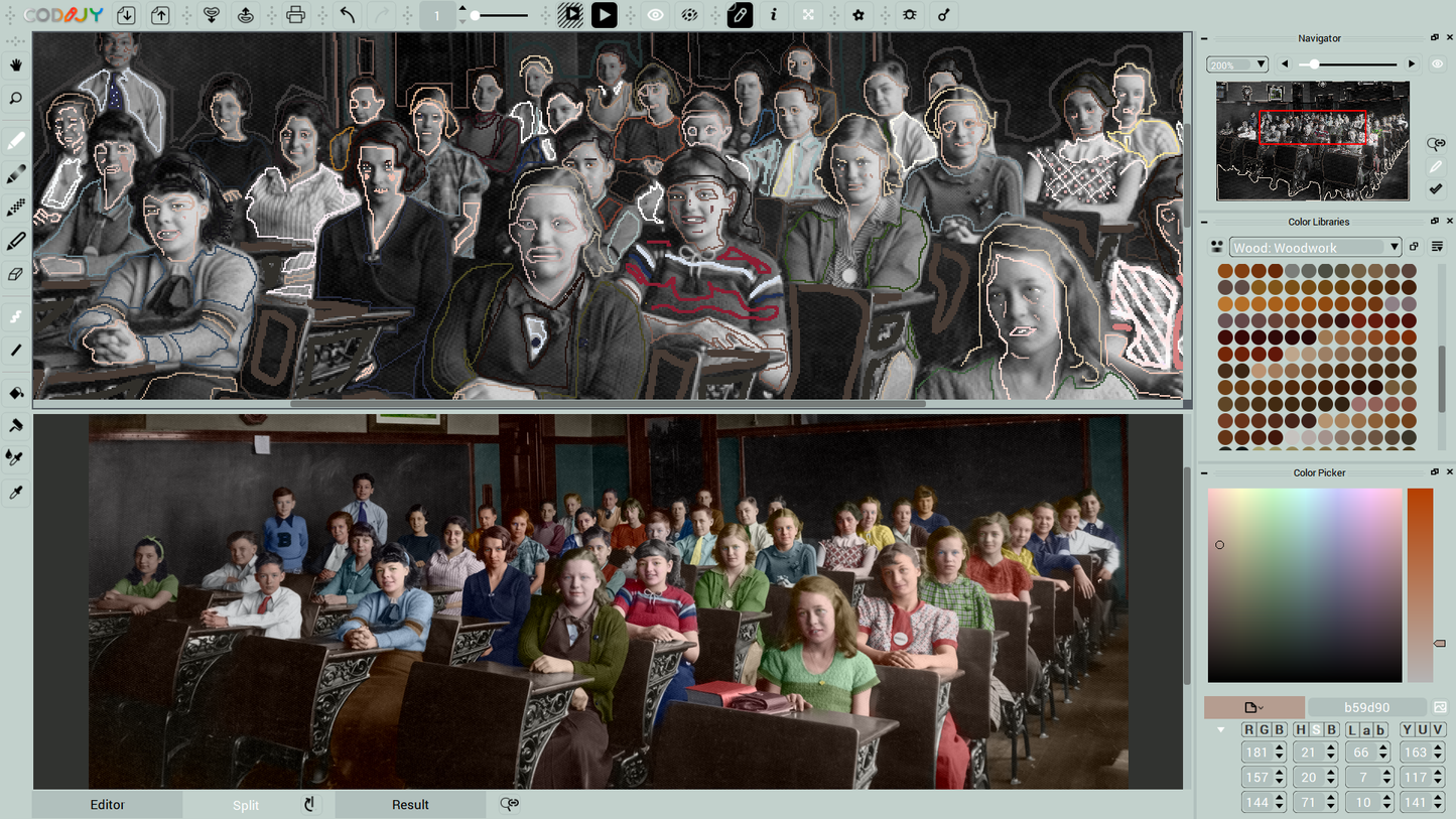 CODIJY Colorizer Pro