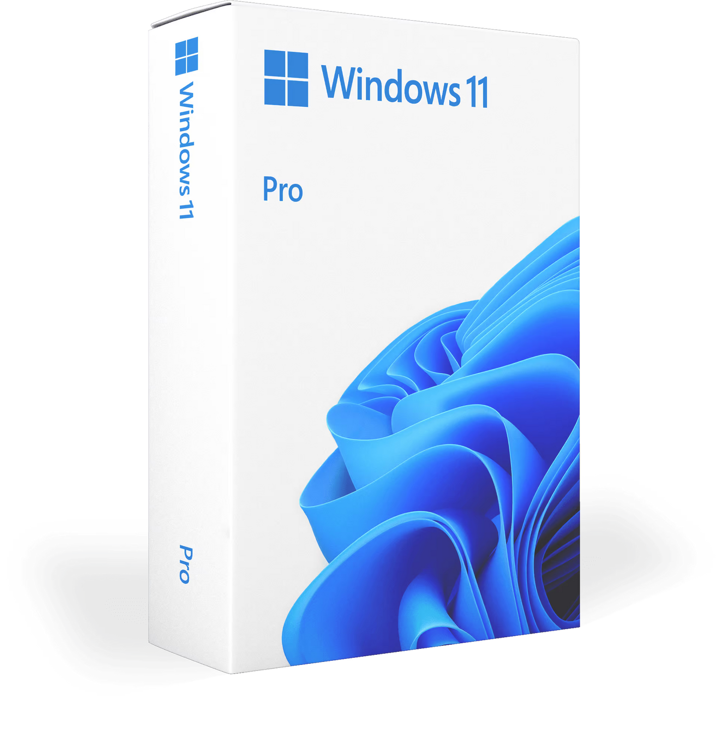 Windows 11 Pro