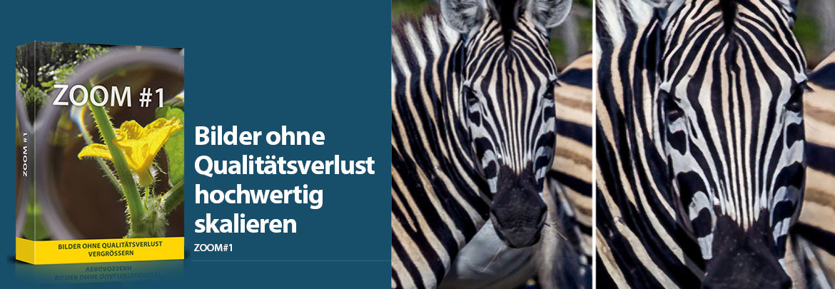 Softwarezirkel.de - Ihr Experte für Software, Tools und E-Books