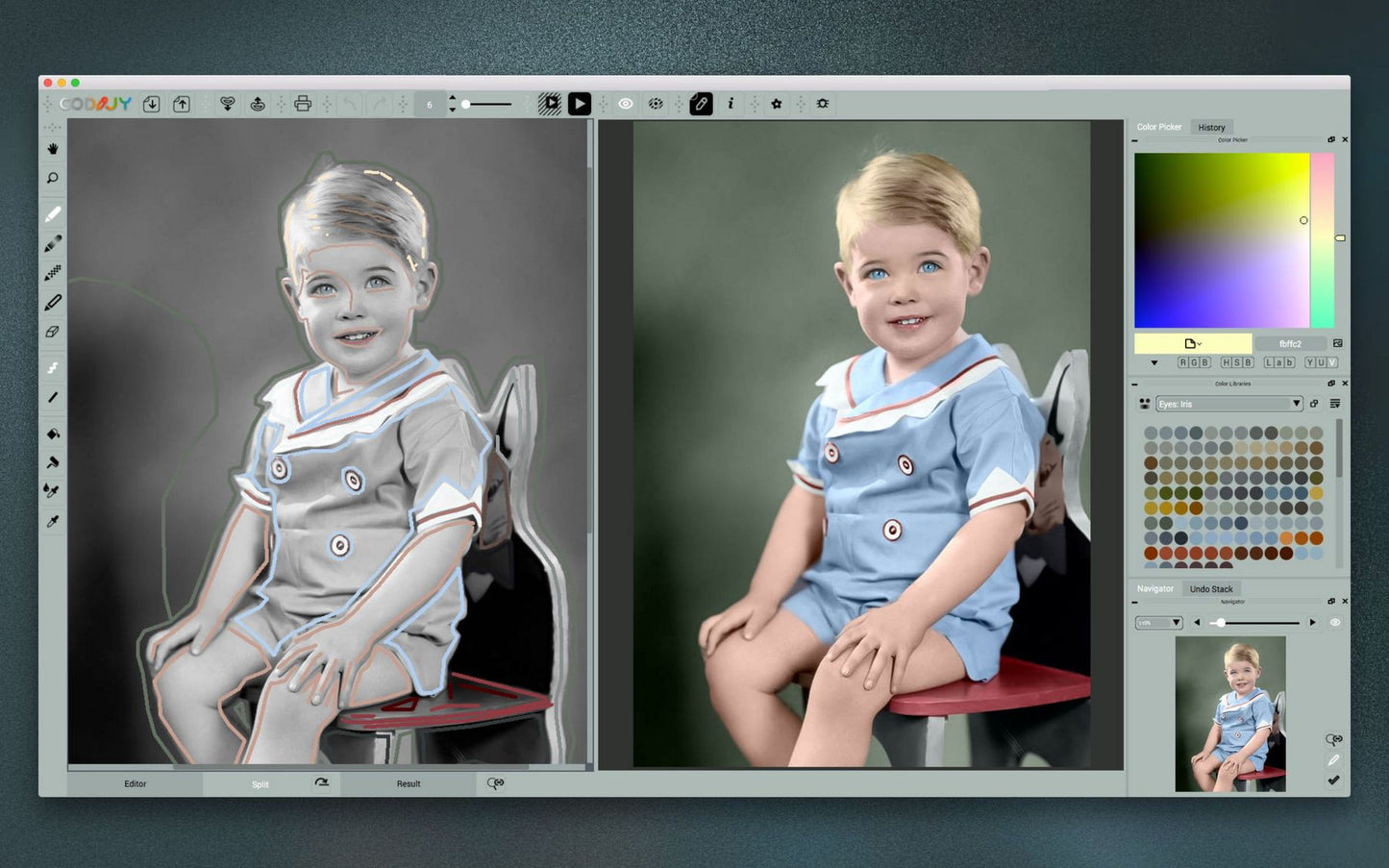 CODIJY Colorizer Pro