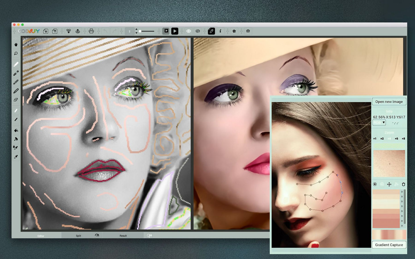 CODIJY Colorizer Pro